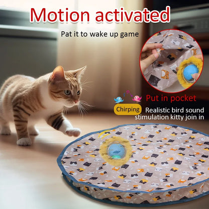 ChaseFun Interactive Cat Hunting Toy