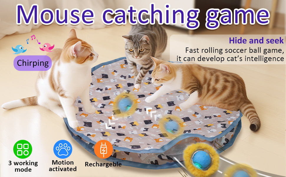 ChaseFun Interactive Cat Hunting Toy