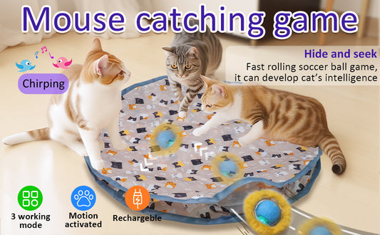 ChaseFun Interactive Cat Hunting Toy